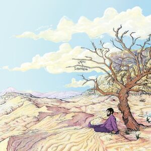 Nadav Schneerson - Sheva  LP LP